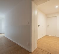Interior of a family house with wood-patterned flooring and white doors.