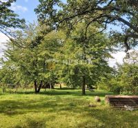 Greenery with grass and trees in Cerová, suitable for residential plots.