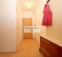 Entrance hallway in a one-room apartment with a wooden decor floor and furniture.