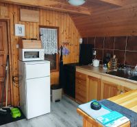 A kitchenette in a cabin with a wood-patterned floor, appliances, and wood paneling.