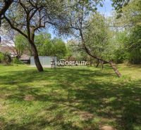 Gardens in Považská Bystrica with fruit trees and a shelter on the edge of the property.