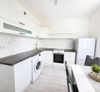 A kitchen in a 2-room apartment with white cabinets and a wood-patterned floor.