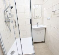 Bathroom with a shower and a sink in a 2-room apartment.