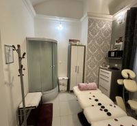 Massage room with a couch, shower corner, and decorative wallpaper in commercial premises.