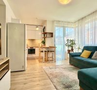 A bright living space in a two-room apartment with a wooden decor floor.