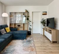 Living room in a two-room apartment with a sofa and wooden decor flooring.