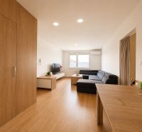 Living room in a three-room apartment with a wooden decor floor and a spacious sofa.