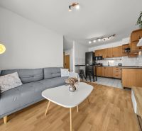 Living room with kitchen in a 3-room apartment, sofa, table, and floor with wooden decor.