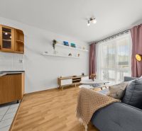 Living room in a three-room apartment with a wooden decor floor and a kitchenette.