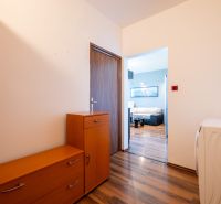 An entrance hall with furniture and flooring featuring a wooden decor in a 2-room apartment.