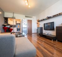 Living room in a two-room apartment with a wooden decor floor and a comfortable sofa.