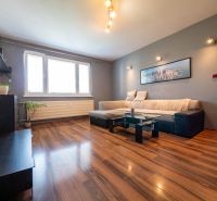 Living room with wood-patterned flooring in a two-room apartment, sofa and painting on the wall.