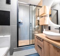 Bathroom in a 2-room apartment with wood-patterned flooring and a shower corner.