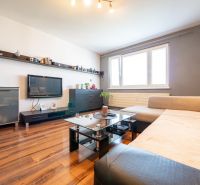 Living room in a two-room apartment with a wooden decor floor and a comfortable sofa.