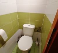 A toilet with white and green tiles in commercial premises.