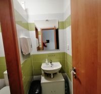 Bathroom with a sink, mirror, and green and white tiles in commercial premises.