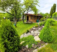 A cottage in Košice - the Západ city district surrounded by a well-maintained garden and trees.