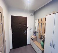 Entrance hallway in a 3-room apartment with a shoe cabinet and a mirror, wooden decor flooring.