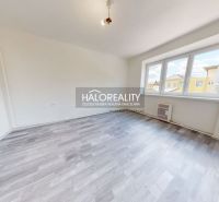 A bright room in a 2-room apartment with a wooden decor floor and large windows.