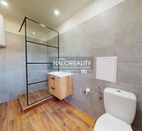 A bathroom in a 2-room apartment with a wooden decor floor and a shower corner.