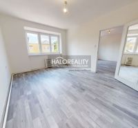 A bright room in a 2-room apartment with a wooden decor floor.