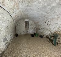A basement with a brick vaulted ceiling and a plastic chair in a family house.