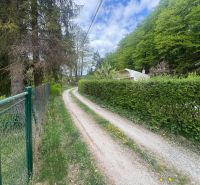 A cottage in Svinica surrounded by greenery with a dusty road lined with a fence and trees.