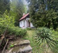 A cottage in Svinica surrounded by greenery and stairs leading to the door.