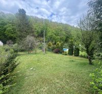 The garden of the cottage in Svinica surrounded by greenery and trees.