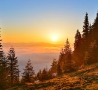 Sunrise over agricultural and forest lands in Zábiedovo surrounded by coniferous trees.