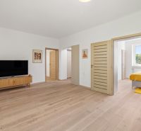 Living room with a television, wooden decor flooring in a 3-room apartment.