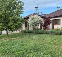 A family house in Malacky with a blooming garden and lawn, a tree and bushes in front of the house.