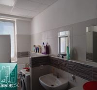 A bathroom with appliances, a shelf with cleaning products, and a sink in warehouses and halls.