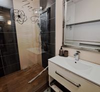 A bathroom in a 3-room apartment with a decorative mirror and a shower corner.