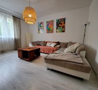 Living room in a 3-room apartment with a comfortable sofa and wooden decor flooring.