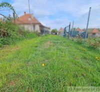 Gardens in Hruboňovo with thick grass, a fence, and a house in the background.