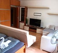 Living room in a studio apartment with a sofa, bed, and TV, wooden decor flooring.