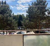 View of pine trees from the balcony of a 3-room apartment in Zlaté Moravce, parking lot in the background.