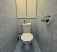 Bathroom with tiles in a 3-room apartment, toilet, cabinet, toilet paper holder.