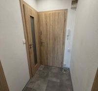 Entrance hallway, studio apartment with tiles and wooden doors, equipped with a video intercom.