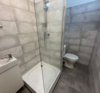 A bathroom in a studio apartment with a toilet, shower, and sink.