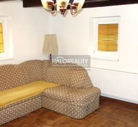 Living room with a retro sofa, lamp, and wooden decor flooring in a family house.
