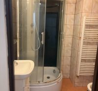 A bathroom with a corner shower and a sink in a studio apartment.