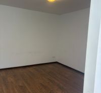 A room in a one-bedroom apartment with a floor featuring a wood decor.