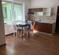 1-bedroom apartment with a kitchen and dining table, wooden decor flooring.