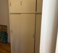 A wardrobe with doors in a studio apartment on a floor with a wooden decor.