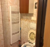 Bathroom in a studio apartment with tiles and a radiator.
