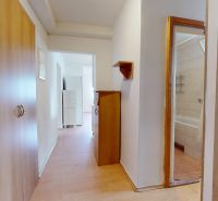 A hallway in a 3-room apartment with built-in wardrobes and a wooden decor floor.