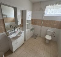 A bathroom in a family house with a sink and toilet, neutral tiles.