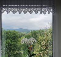 A view from a 3-room apartment of greenery and mountains with an orchid on the windowsill.